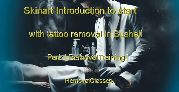 Skinart Introduction to start with tattoo removal in Bushell Park | RemovalTraining | RemovalClasses | SkinartTraining-Canada